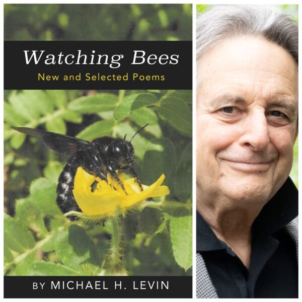 Watching Bees by Michael H. Levin