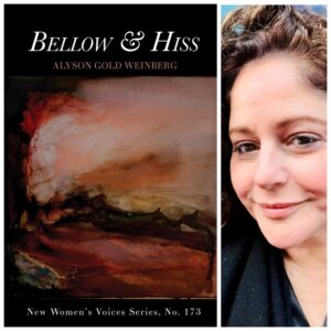 Bellow & Hiss by Alyson Gold Weinberg  - NWVS #173