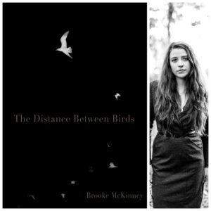 The Distance Between Birds by Brooke McKinney