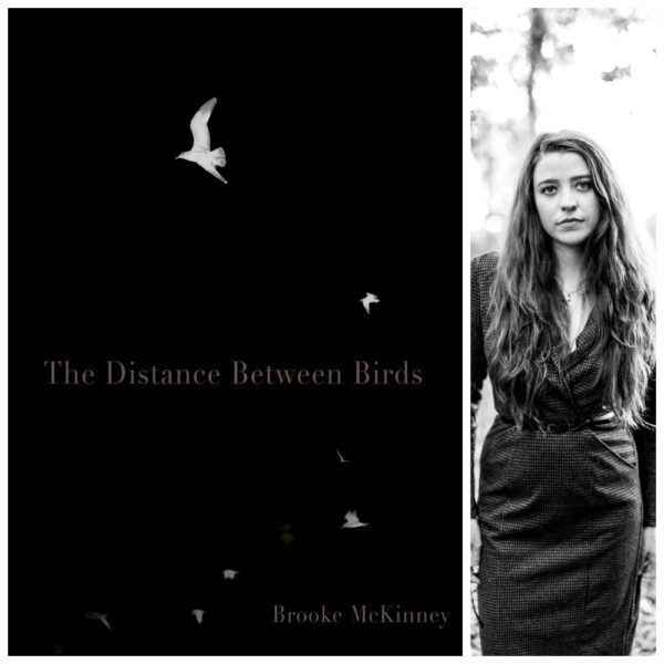 The Distance Between Birds by Brooke McKinney