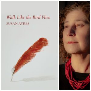 Walk Like the Bird Flies by Susan Ayres