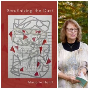 Scrutinizing the Dust by Marjorie Hanft