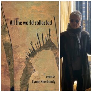 All the world collected by Lynne Sherbondy