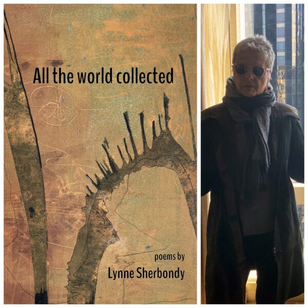 All the world collected by Lynne Sherbondy