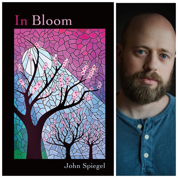 In Bloom by John Spiegel