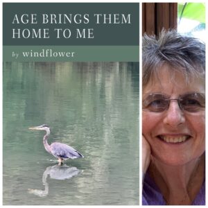 AGE BRINGS THEM HOME TO ME by windflower