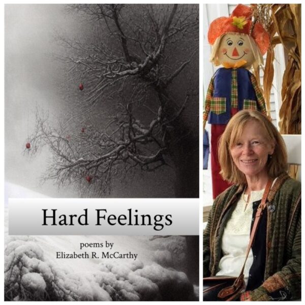 Hard Feelings by Elizabeth R. McCarthy