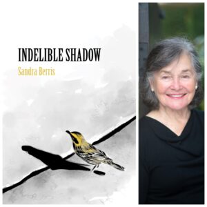 Indelible Shadow by Sandra Berris