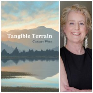 Tangible Terrain by Christy Wise