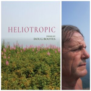Heliotropic by Doug Bootes
