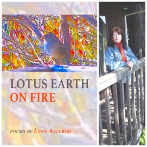 Lotus Earth on Fire by Lynn Axelrod