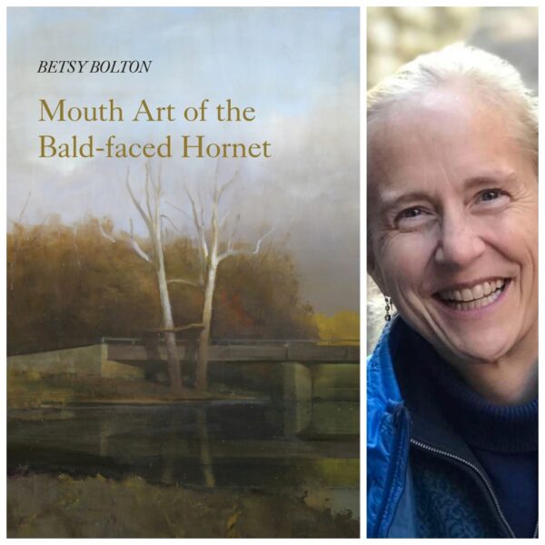 Mouth Art of the Bald-faced Hornet by Betsy Bolton