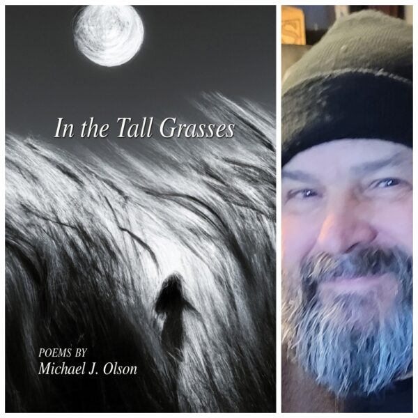 In the Tall Grasses by Michael J. Olson