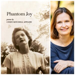 Phantom Joy by Cindy Mitchell Appleby