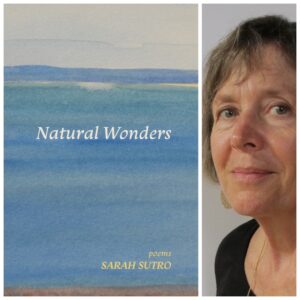 Natural Wonders by Sarah Sutro