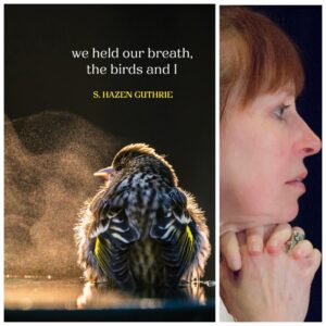 we held our breath, the birds and I by S. Hazen Guthrie