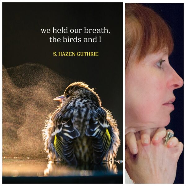we held our breath, the birds and I by S. Hazen Guthrie