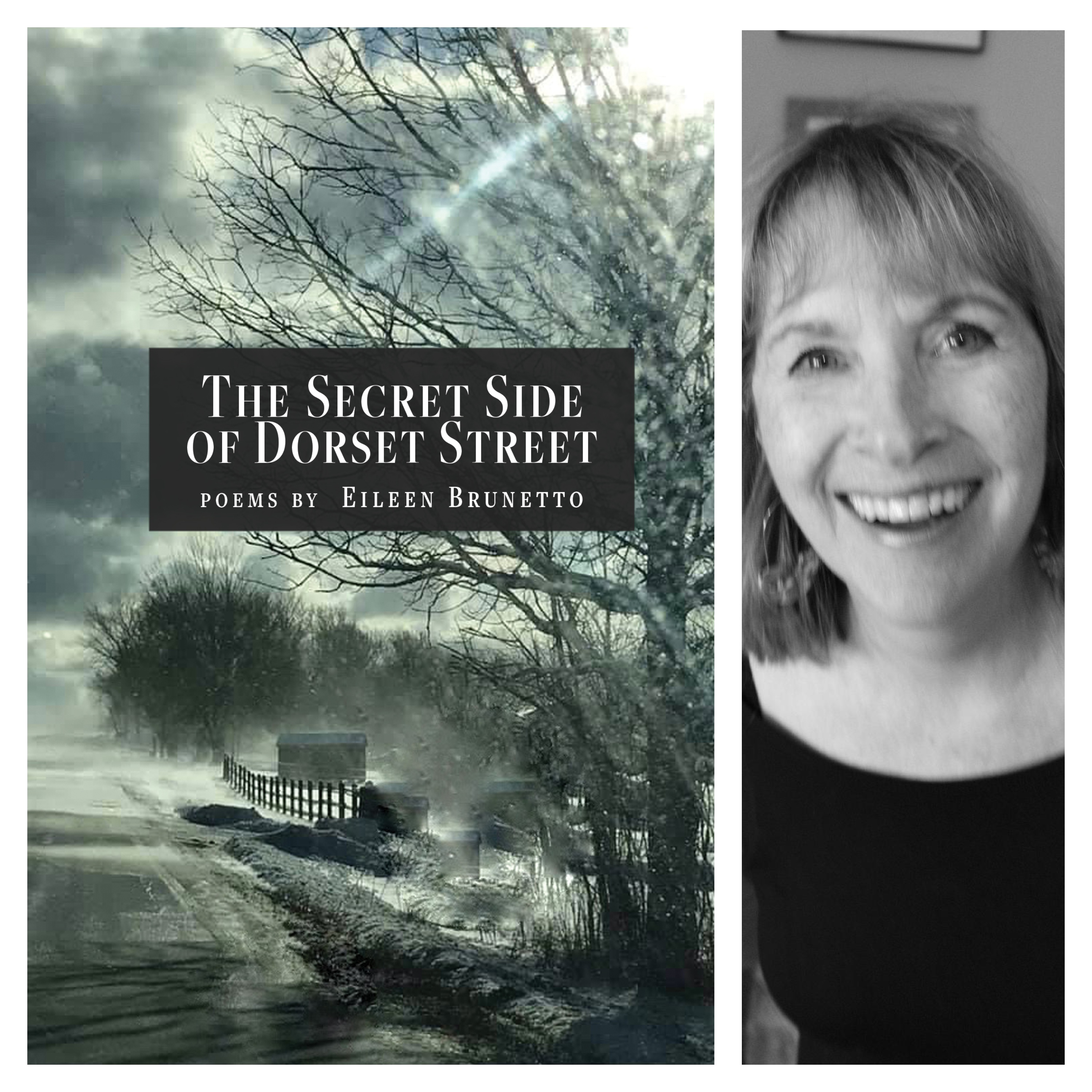 The Secret Side of Dorset Street by Eileen Brunetto