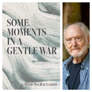 Some Moments in a Gentle War by David MacRae Landon