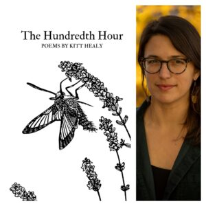 The Hundredth Hour by Kitt Healy