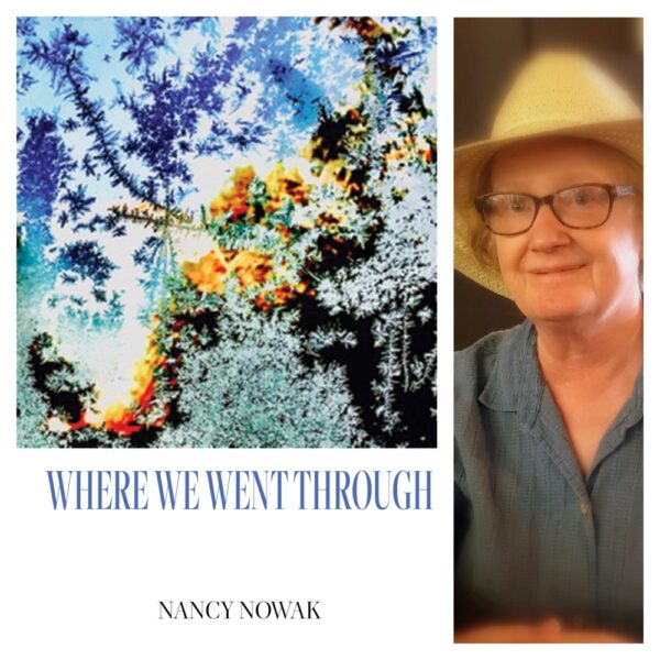 Where We Went Through by Nancy Nowak