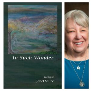 In Such Wonder by Jonel Sallee