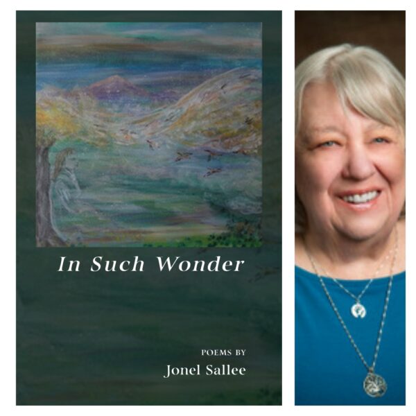 In Such Wonder by Jonel Sallee