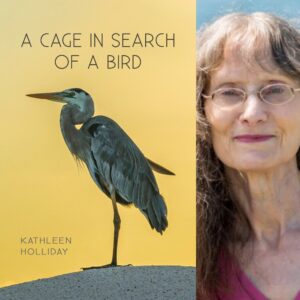A Cage in Search of a Bird by Kathleen Holliday
