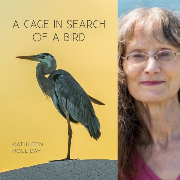 A Cage in Search of a Bird by Kathleen Holliday