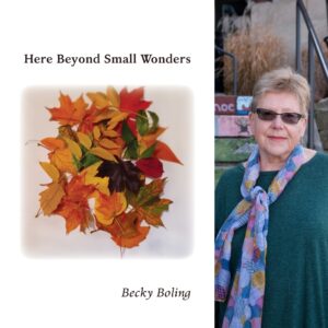 Here Beyond Small Wonders by Becky Boling