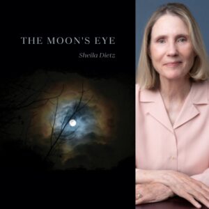 The Moon's Eye by Sheila Dietz