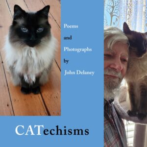 CATechisms by John Delaney