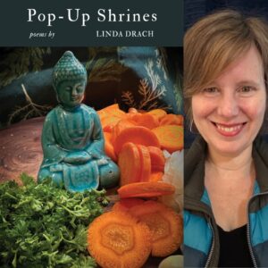 Pop-Up Shrines by Linda Drach