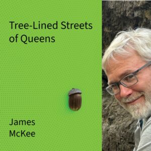 Tree-Lined Streets of Queens by James McKee