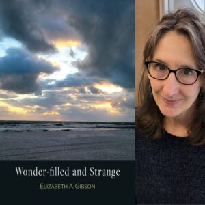 Wonder-filled and Strange by Elizabeth A. Gibson