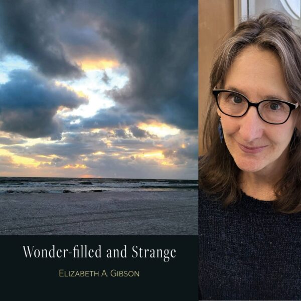 Wonder-filled and Strange by Elizabeth A. Gibson