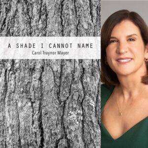 A SHADE I CANNOT NAME by Carol Traynor Mayer