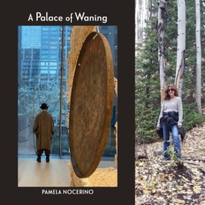 A Palace of Waning by Pamela Nocerino