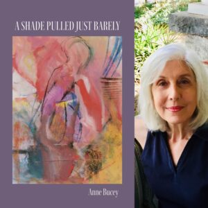 A Shade Pulled Just Barely by Anne Bucey