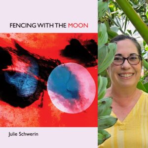 fencing with the moon by Julie Schwerin