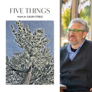 Five Things by Galen Steele