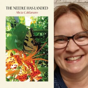 The Needle Has Landed by Alicia Caldanaro