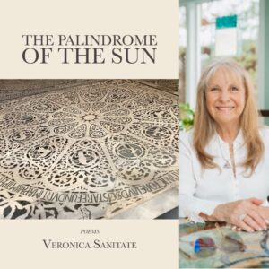 The Palindrome of the Sun by Veronica Sanitate