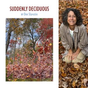 Suddenly Deciduous by Dee Slavutin