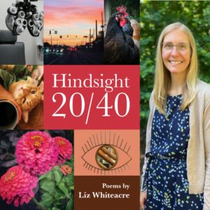 Hindsight 20/40 by Liz Whiteacre