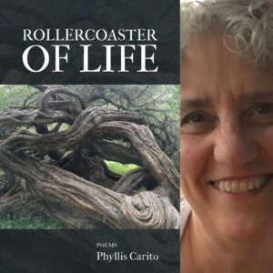 Rollercoaster of Life by Phyllis Carito