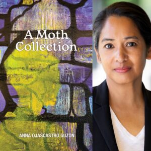 A Moth Collection by Anna Ojascastro Guzon