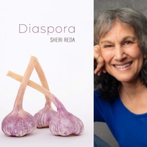 Diaspora by Sheri Reda