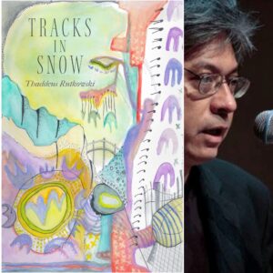 Tracks in Snow by Thaddeus Rutkowski