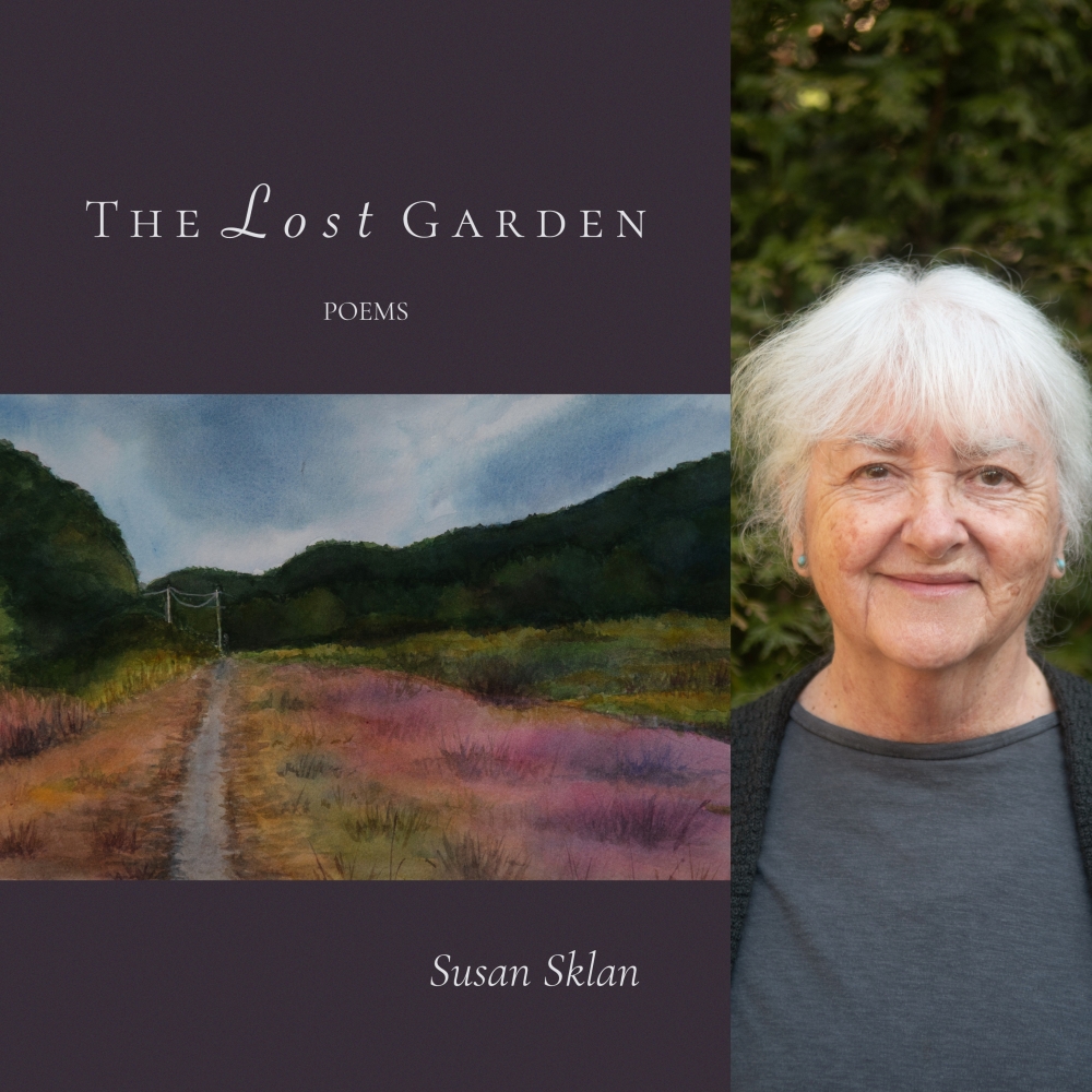The Lost Garden by Susan Sklan
